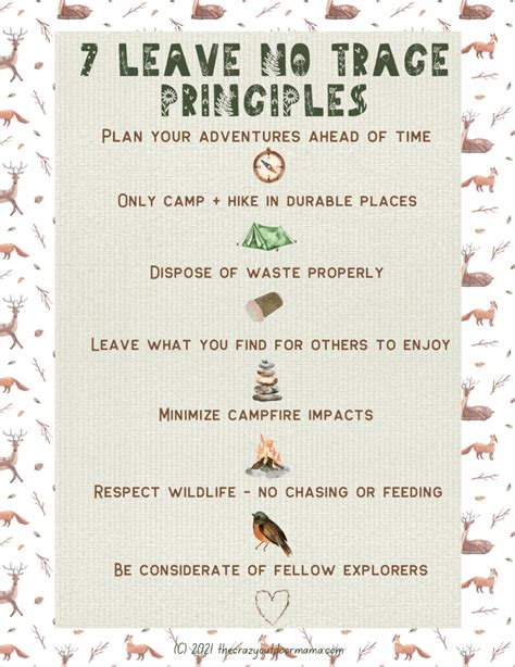 Leave No Trace Printable